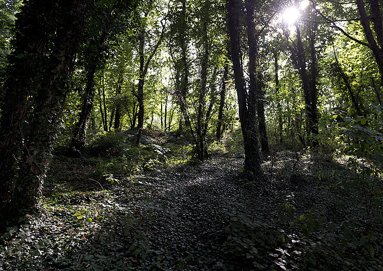 Jonas Gonell Fotografie