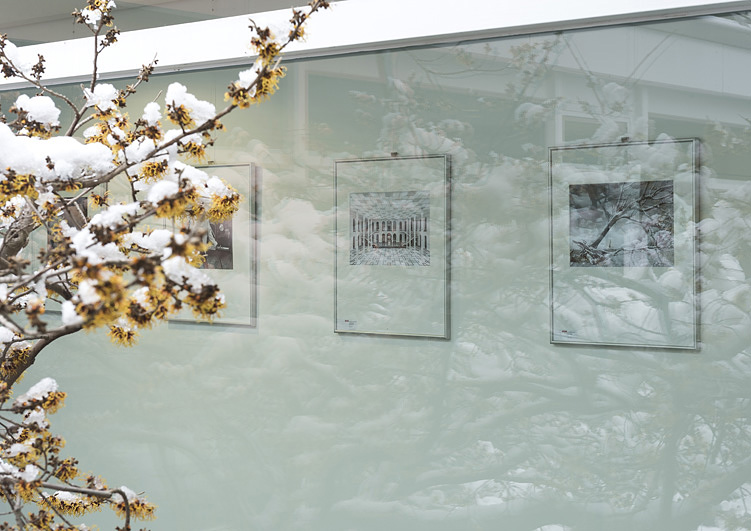 Jonas Gonell Fotografie