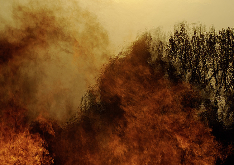 Jonas Gonell Fotografie